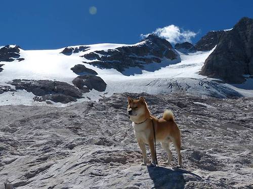 大数据比对历史表现为选材提供依据，大数据对比分析