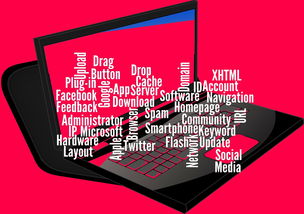 kaiyun.com-CBA开展球员社交媒体管理课程提高职业素养，运动员社交媒体